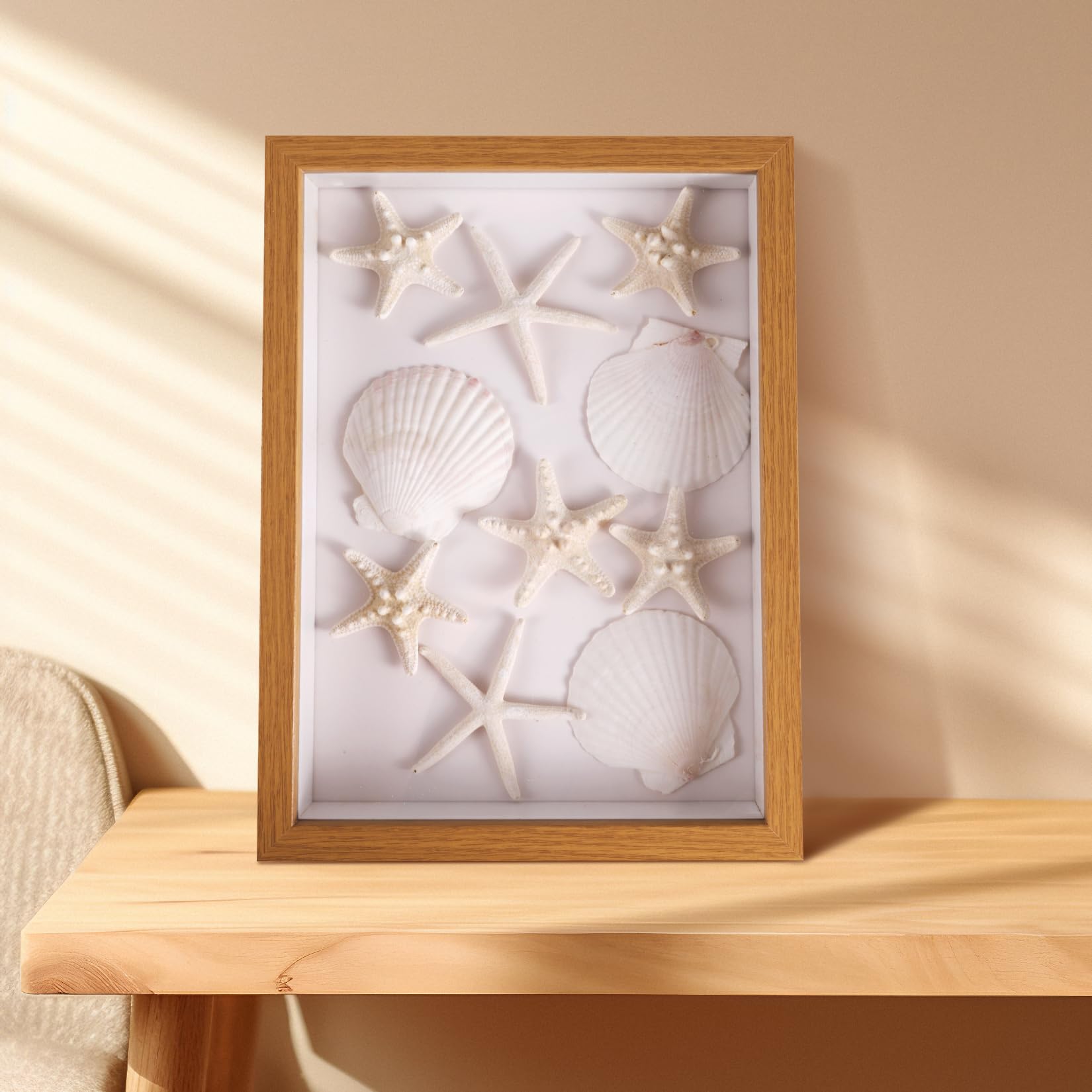 PPCLION 24 PCS Natural Starfish 2-4" and Scallop Shell for Crafts Making Beach Theme Party Wedding Decoration, Home Wall Decor, Christmas Ornaments