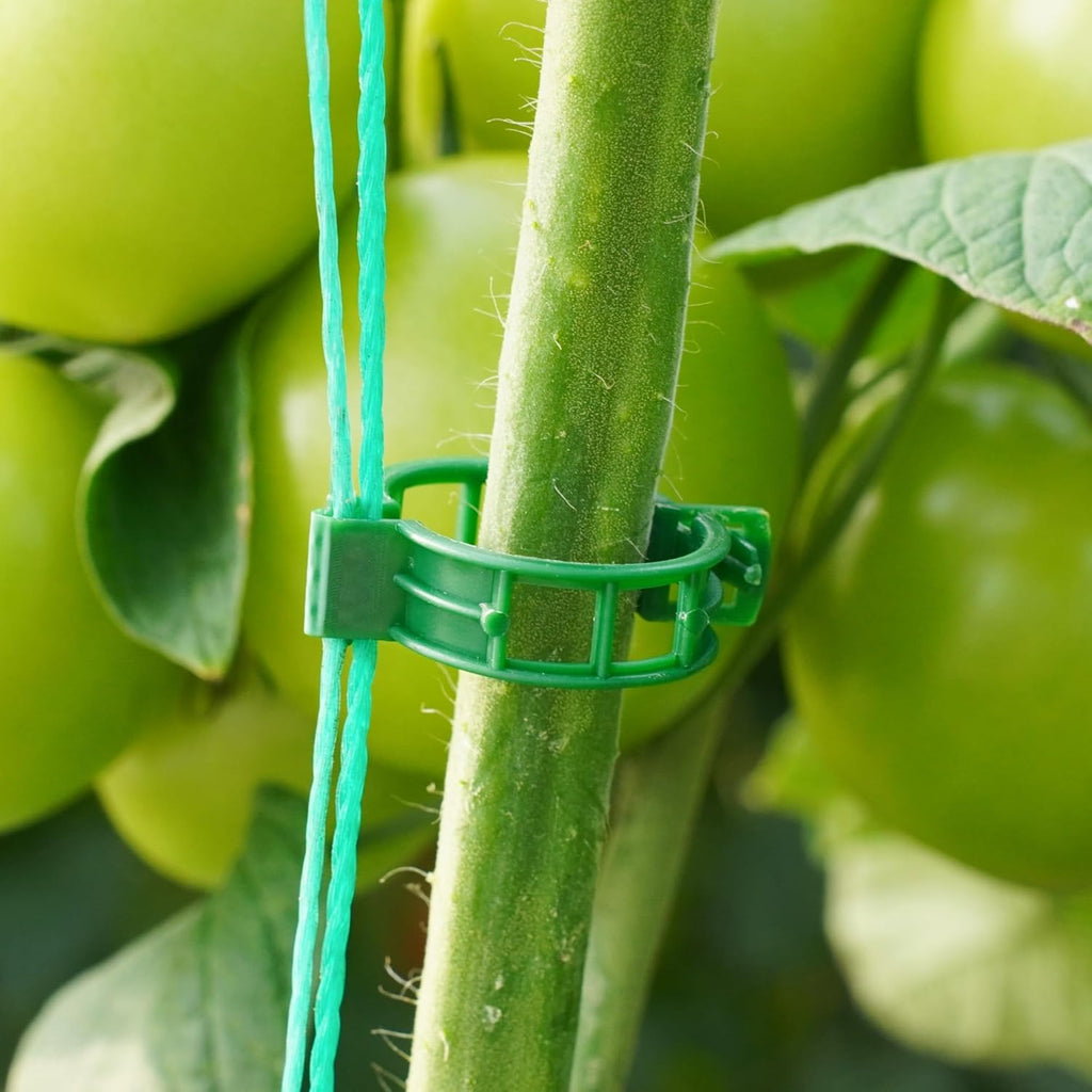 Skiennix Plant Support Clips - 100 Pcs Plastic Clips for Securing Tomato Vines | Green Garden Clips