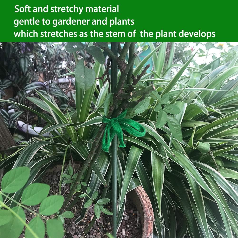 Skiennix Plant Ties - 164 Feet of 8mm Green Garden Twine | Biodegradable Support for Tomatoes, Vines & Roses