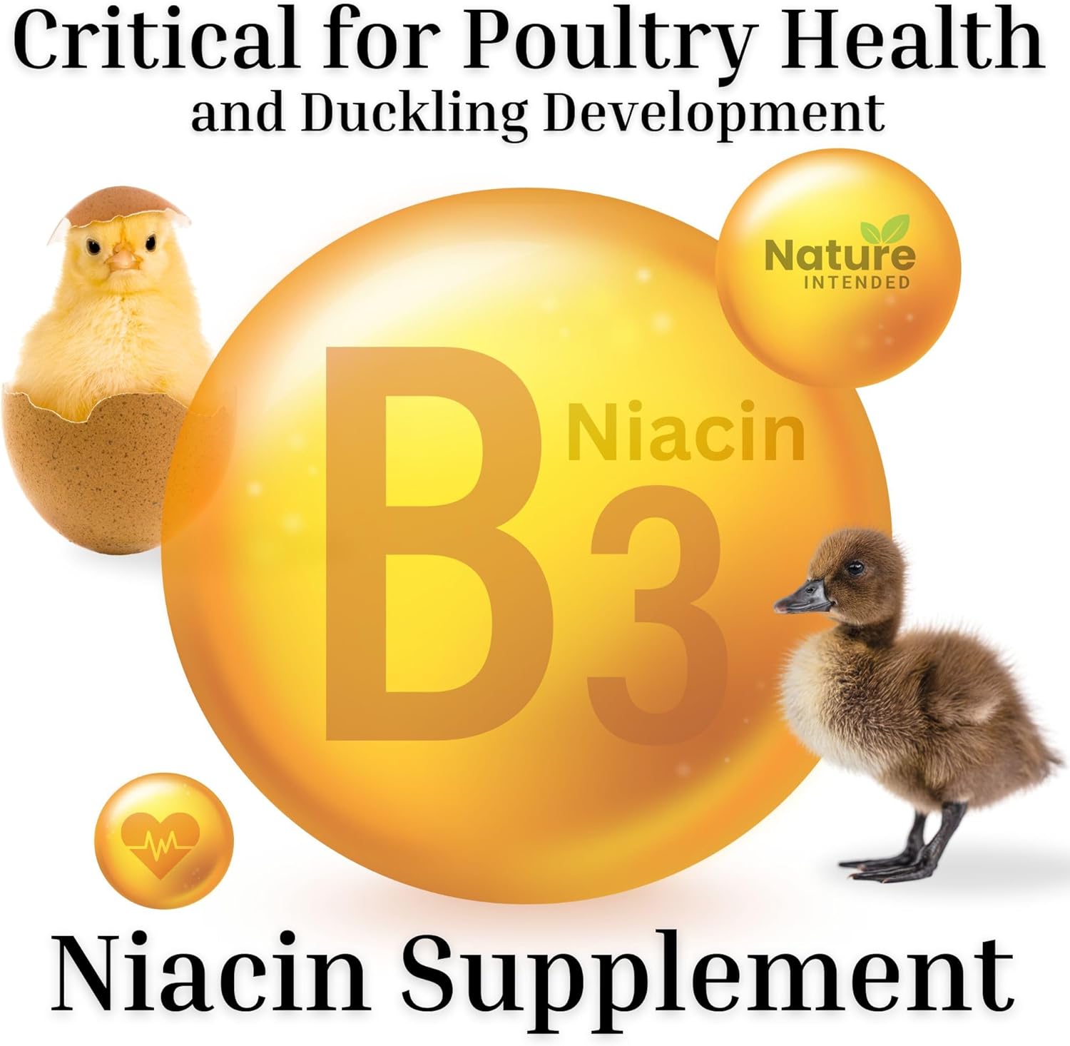 Brewer's Yeast Probiotics Supplement - Enhance Egg Quality & Recovery for Poultry | 10-Ounce Pouch