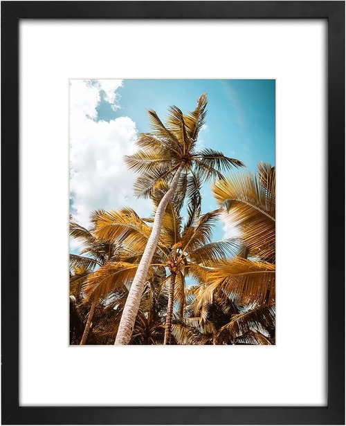Frametory 16x20 Black Picture Frame - High-Definition Real Glass - Fits 11x14 Photos with Mat