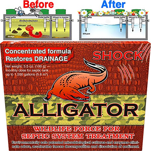 Alligator Shock Septic Treatment Cleaner | Natural Enzyme Formula for Odor Control