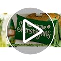 St. Patrick's Day Lumbar Pillow Cover 12x20 Shamrock Green Spring Couch Decor