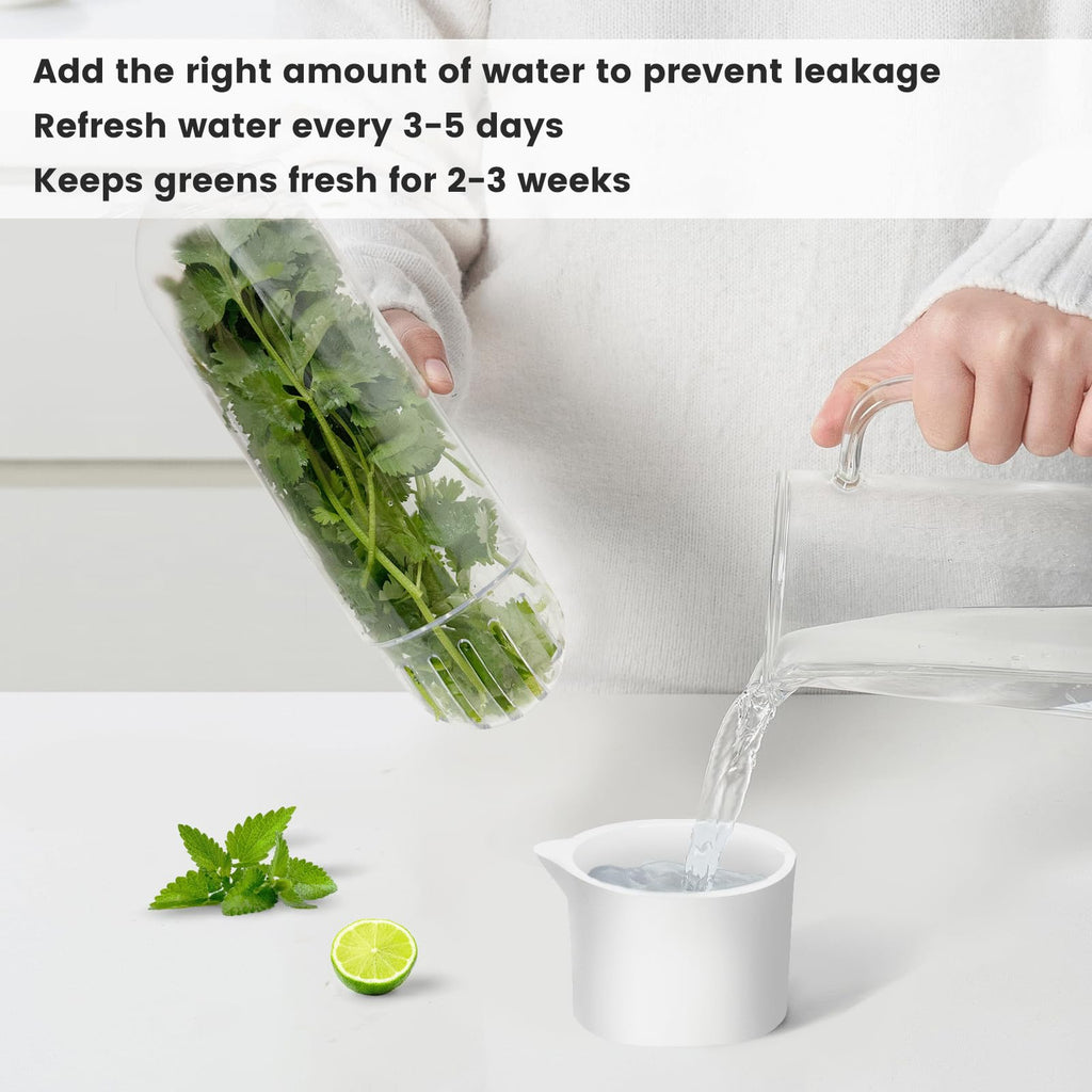 UEOZ Herb Keeper for Refrigerator, Herb Saver for Refrigerator, Vegetable Preservation Bottle for Cilantro, Mint, Parsley, Asparagus, Keeps Greens Fresh for 2-3 Weeks (1PCS)