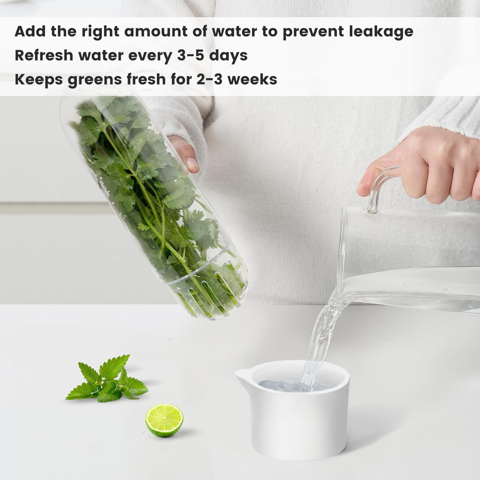 UEOZ Herb Keeper for Refrigerator, Herb Saver for Refrigerator, Vegetable Preservation Bottle for Cilantro, Mint, Parsley, Asparagus, Keeps Greens Fresh for 2-3 Weeks (1PCS)