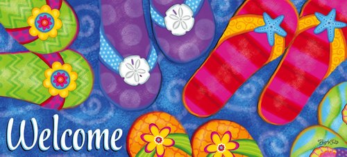 Evergreen Sassafras Doormat Insert Bundle & Tray Set of 5, Spring Summer Fall Winter Interchangeable Entrance Door mats Indoor and Outdoor Welcome Mat 30 x 18 Tray Non Slip Backing Low Profile