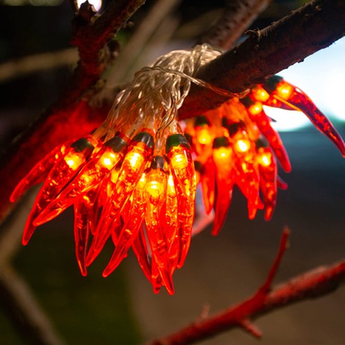 Dreamworth Red Chili String Lights,10ft 20 LED Chili String Lights Battery Operated Fairy Lights for Wedding, Chinese New Year,Spring Festival,Party Decoration,Christmas