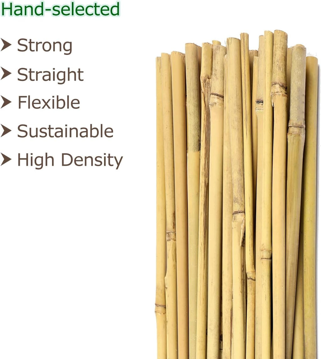 Cambaverd Bamboo Stakes - 4ft Natural Plant Support for Tomatoes & Climbing Plants | 25 Pack