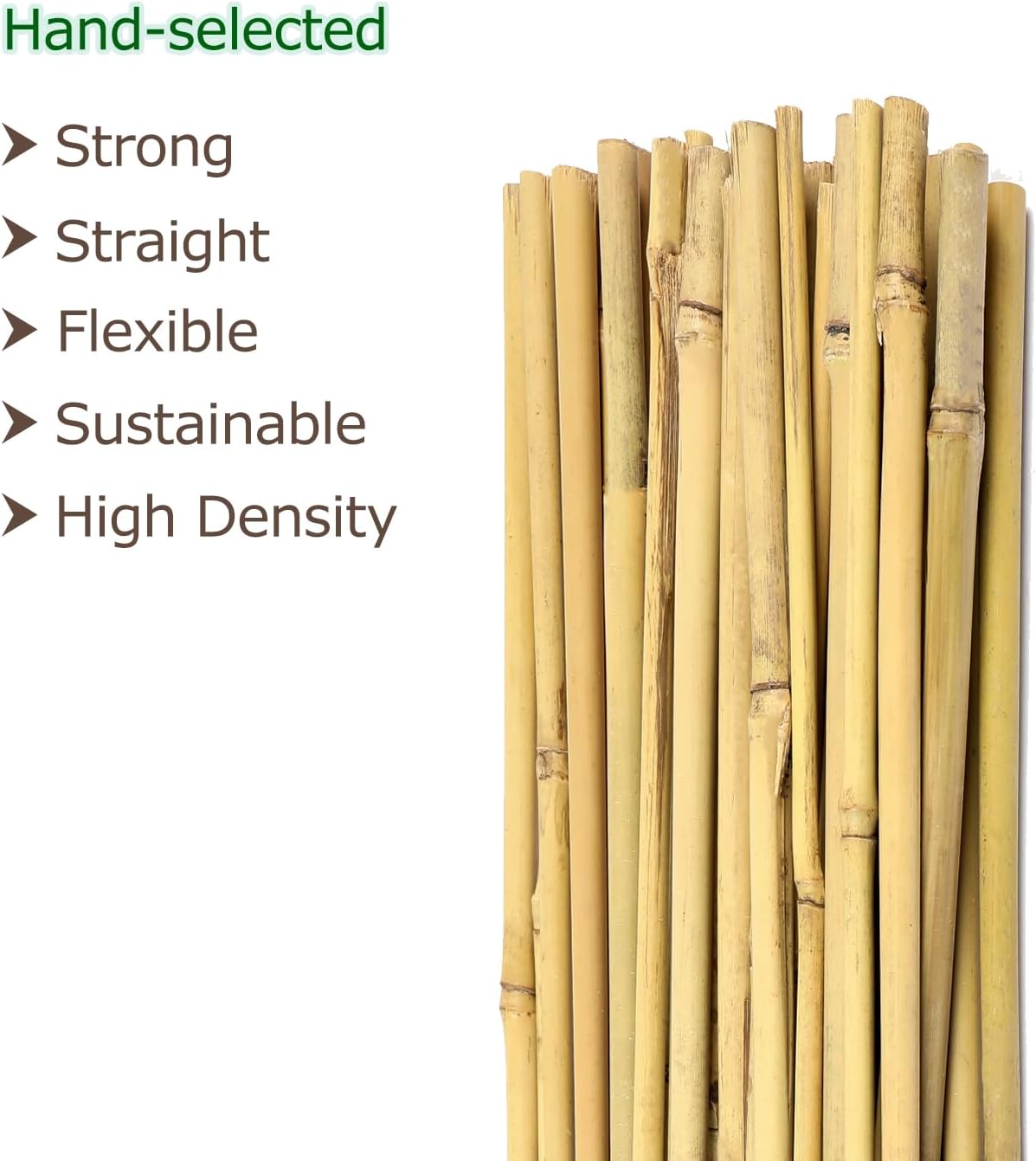 Cambaverd Bamboo Stakes - 4ft Natural Plant Support for Tomatoes & Climbing Plants | 25 Pack