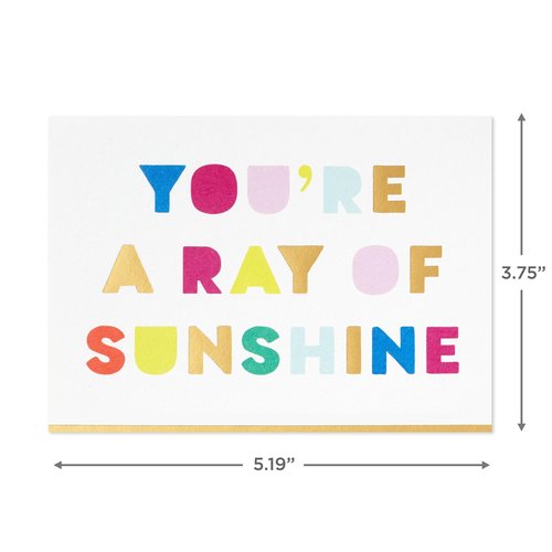 Hallmark Bright and Bold Card Assortment (24 Blank Cards with Envelopes) Pink, Orange, Blue, Gold