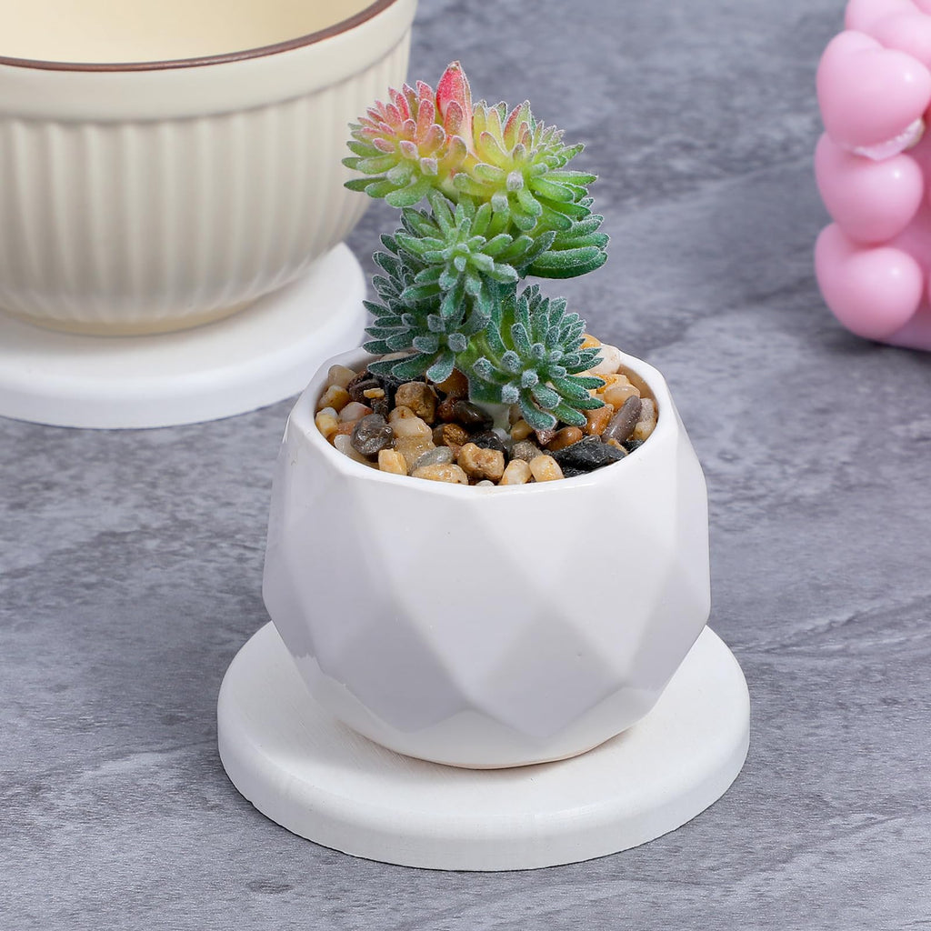 5Pcs Water Absorbing Stone Tray for Sink Water Absorbent Diatomite Trays Fast Drying Stone Sink Tray Diatomaceous Coaster Stones Drying Trays for Hand Soap Dish Cosmetic Bottles Toothbrush Holders