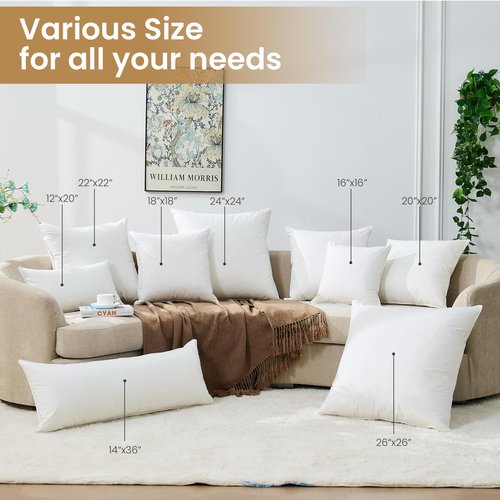 BHZ Throw Pillows 20x20 Euro Pillow Inserts Set of 2, Down Feather Alternative Pillow Inserts, Decorative Soft Large Square White Throw Pillows Insert for Couch Bed Dorm Sofa with Breathable Cover