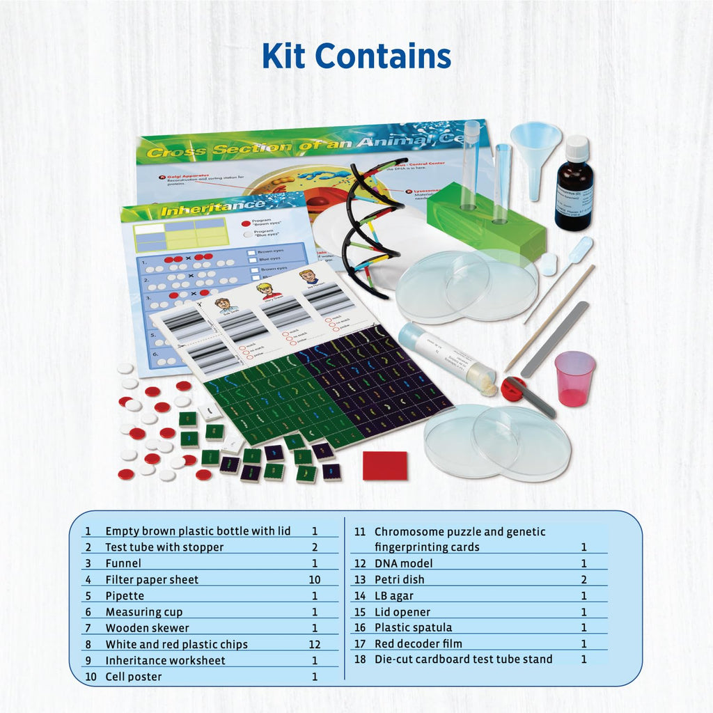 Thames & Kosmos Genetics & DNA Lab 10x2.5x11 inch