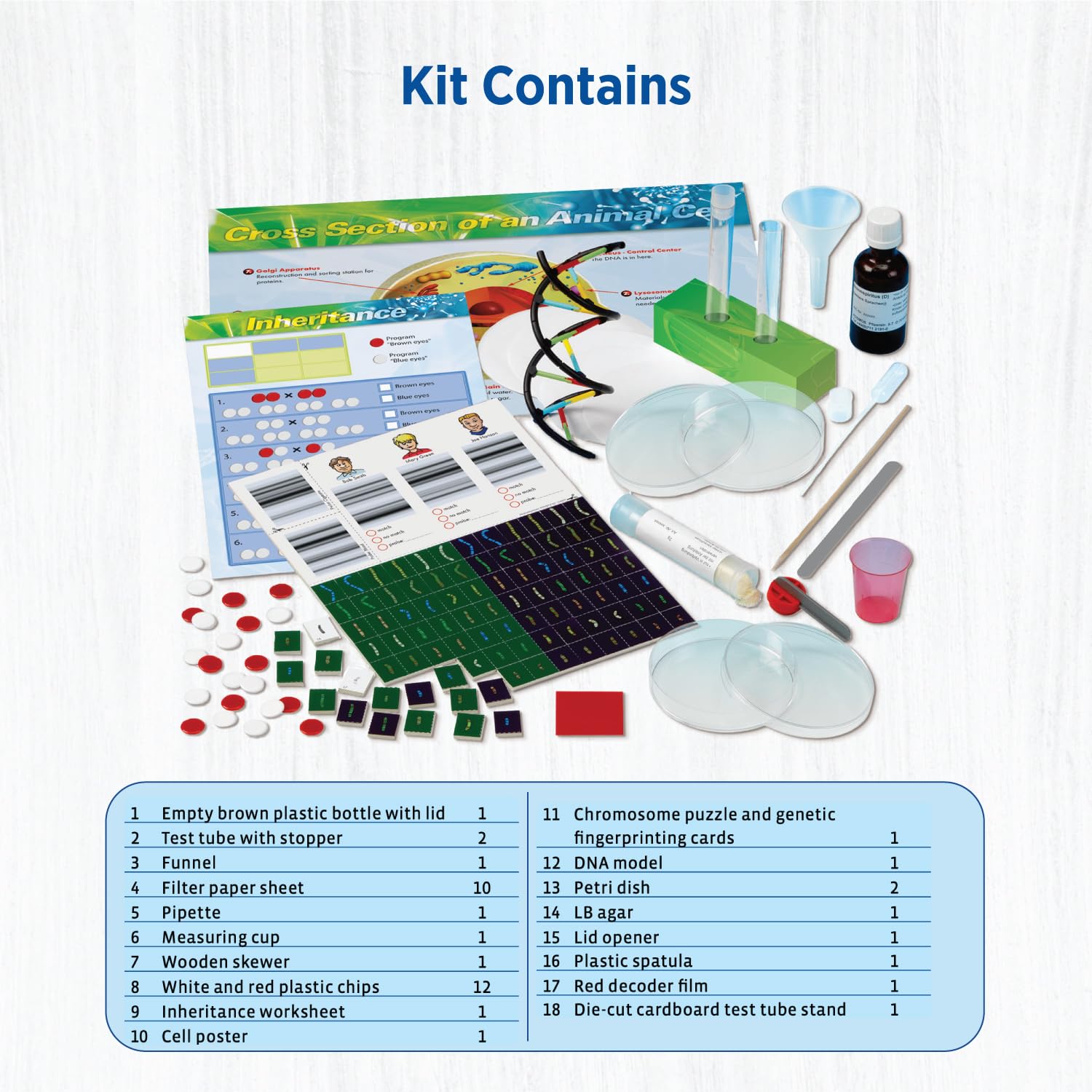 Thames & Kosmos Genetics & DNA Lab 10x2.5x11 inch