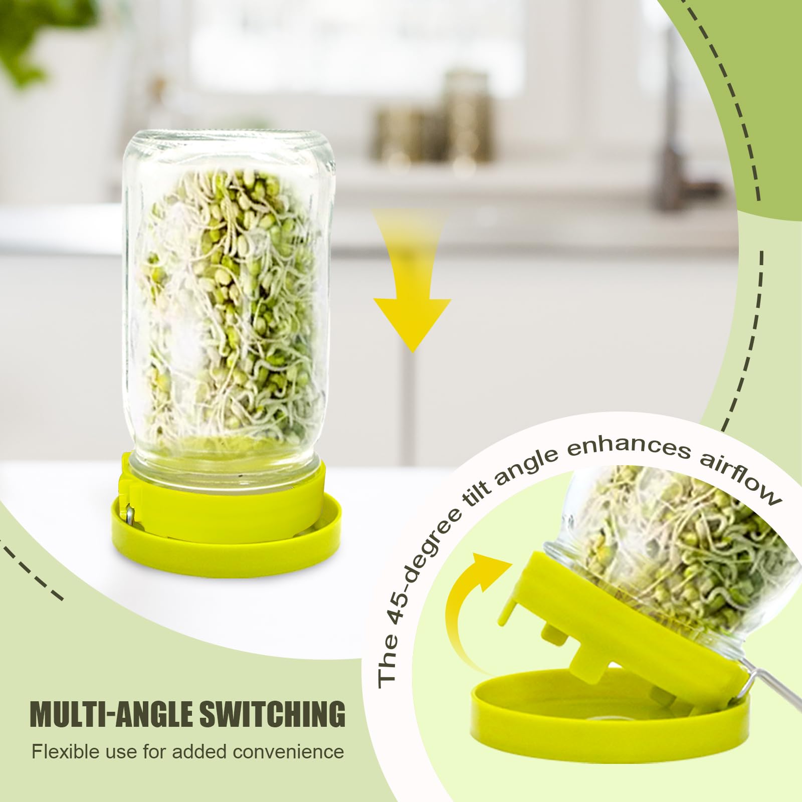 Wide Mouth Mason Jar Sprouting Kit with Sprouting Lids and Drainage Tray - Ideal for Bean, Alfalfa Sprouts and Microgreens, Vertical and Angled Placement Support（One lid and one drip tray）