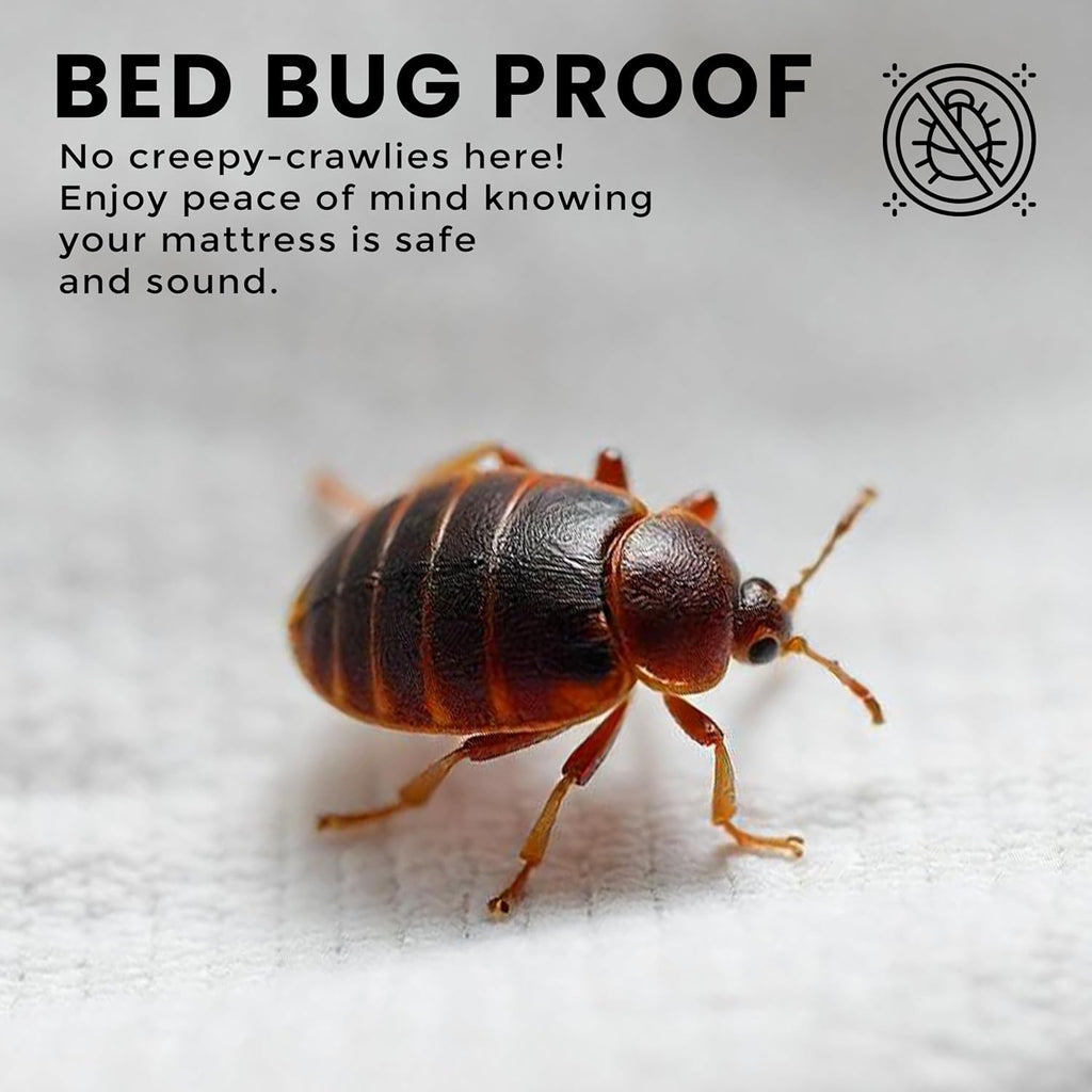Utopia Bedding Waterproof Bed Bug Mattress Protector - Queen Size, 12-Inch Deep, Dust Mite Proof Encasement