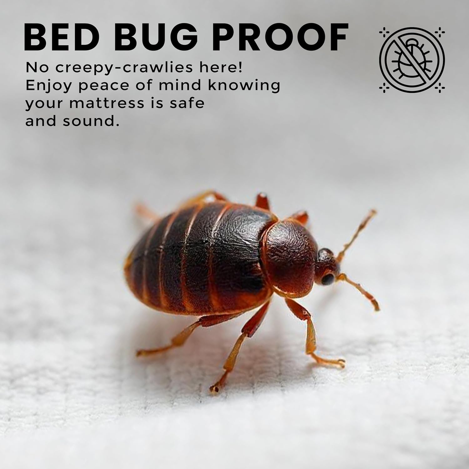 Utopia Bedding Waterproof Bed Bug Mattress Protector - Queen Size, 12-Inch Deep, Dust Mite Proof Encasement