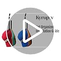 Kyrupsy Hat Organizer - 2 Pack Baseball Cap Storage Rack