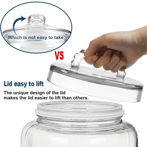 Daitouge 3 Gallon Glass Jar with Lid, Wide Mouth Large Glass Canister with lid, Super Large Cookie Jar for Food Storage, Sugar, Flour, Cookies,Dog Treats