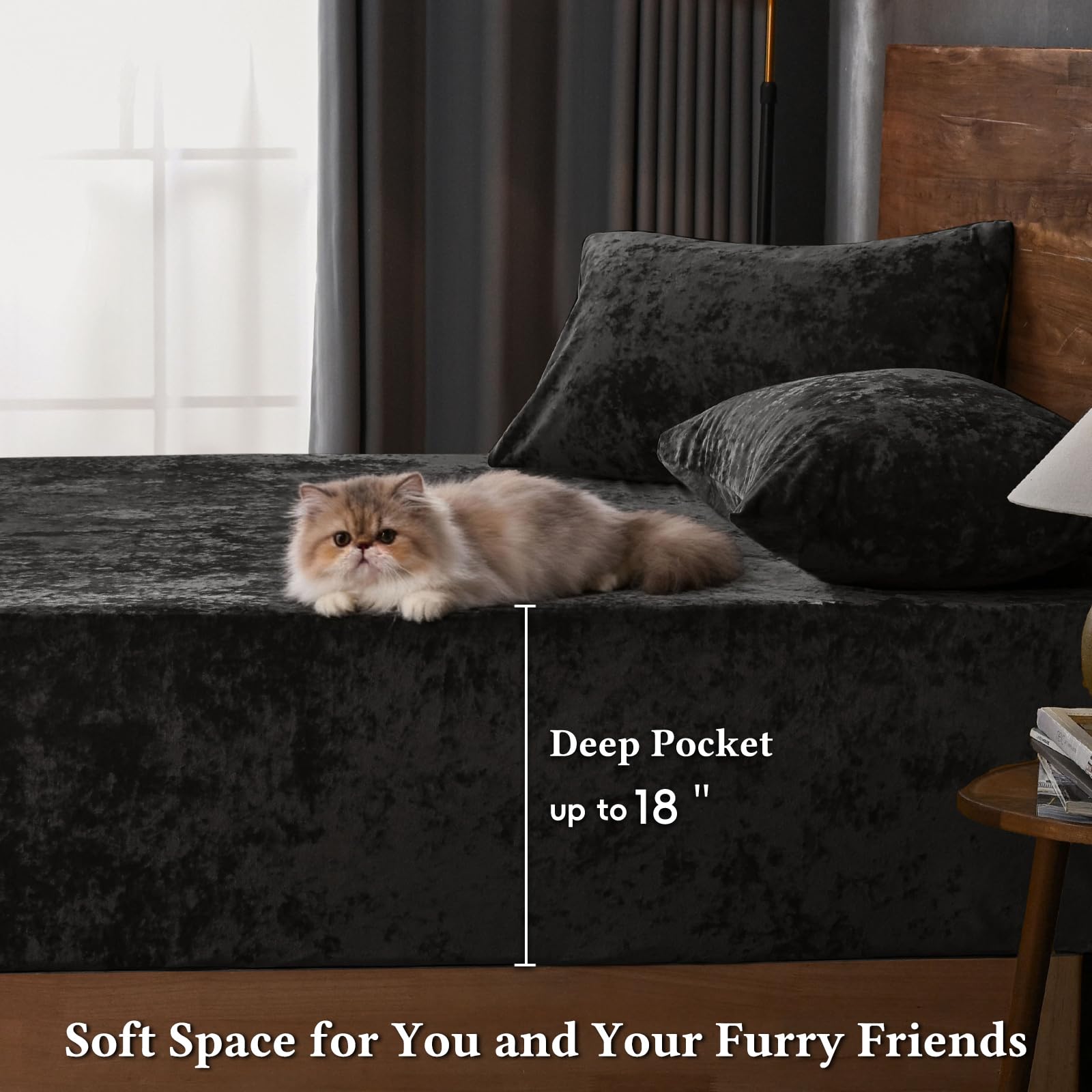David's Home Velvet Fitted Sheet and Pillowcases Set Queen Size, Extra Deep Pocket up to 18", Soft Plush Fleece Bottom Sheet with Side Pocket & Elastic Corner Straps, Fall Winter, Black