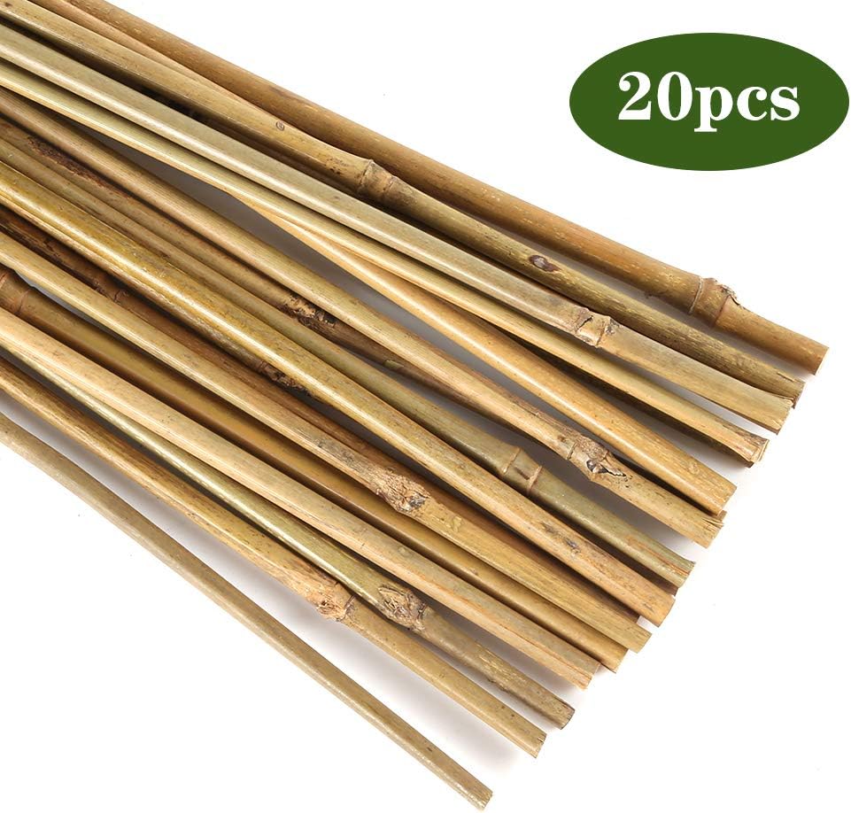Pllieay Bamboo Garden Stakes - 20PC Natural Plant Support for Indoor/Outdoor Potted Plants | 1.33'/16 Inch