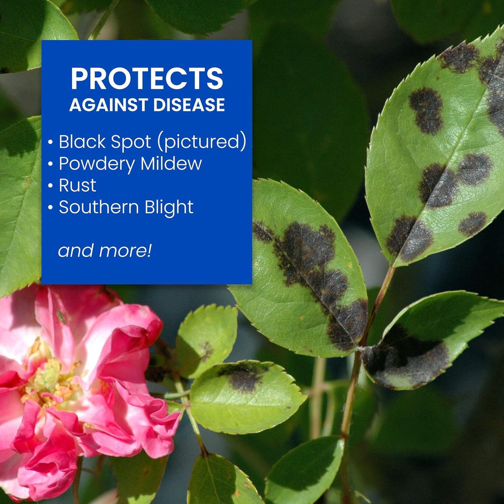 BioAdvanced All-In-One Rose & Flower Care Concentrate - Prevents Pests & Diseases - 64 oz Bottle