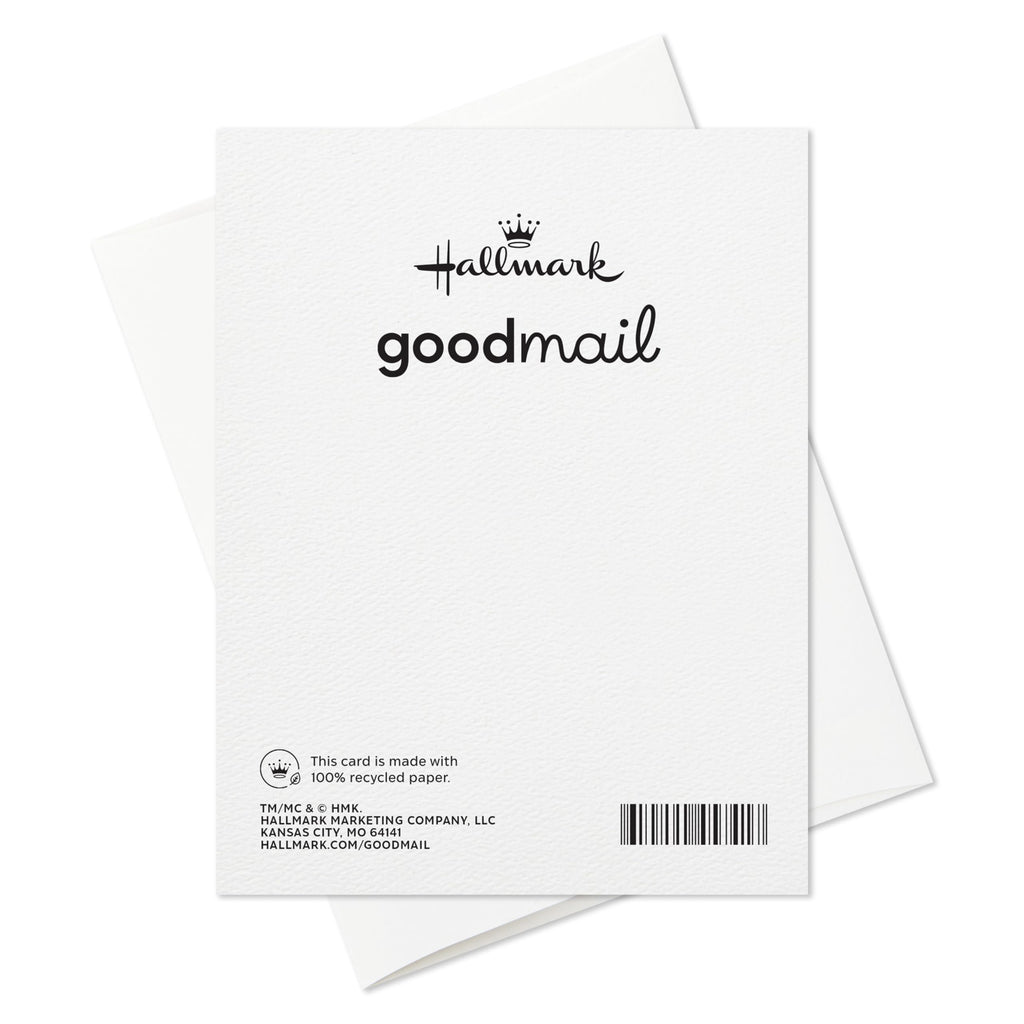 Hallmark Good Mail Fun Birthday Cards (4 Cards with Envelopes) for Friends, Coworkers, Siblings