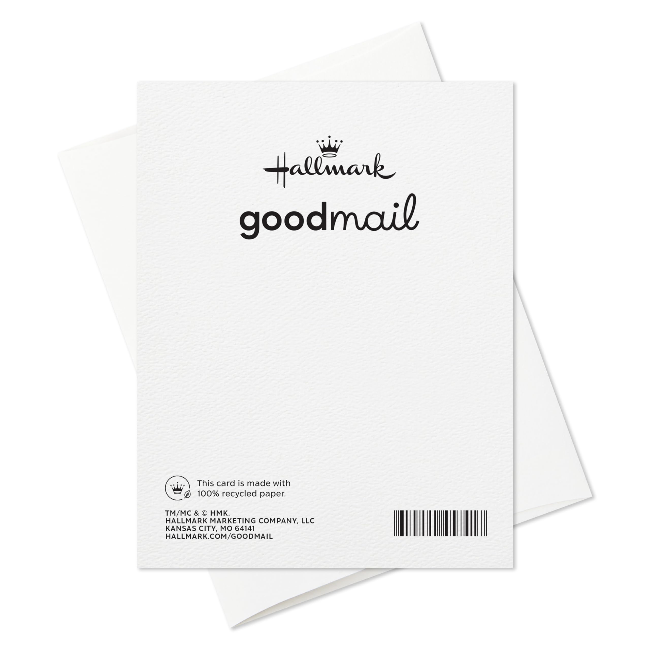 Hallmark Good Mail Fun Birthday Cards (4 Cards with Envelopes) for Friends, Coworkers, Siblings