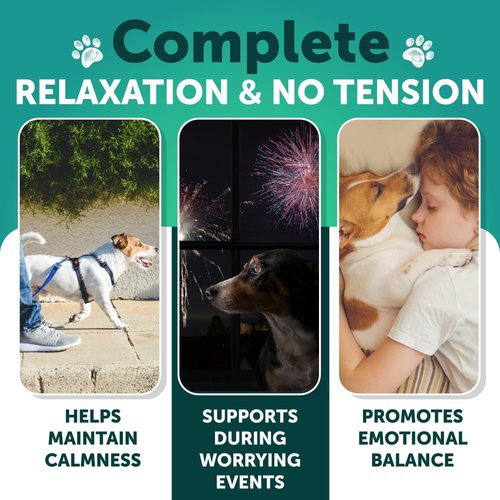 Hemp Calming Chews for Dogs - Natural Anxiety Relief Treats with Hemp Oil & Turmeric - 120 Count