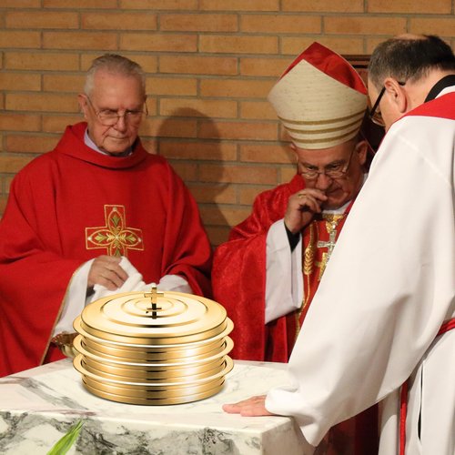 Newtay Gold Communion Trays Cover Stainless Steel Round Holy Cup Tray Cover for Churches Communion Supplies, 11 Inches