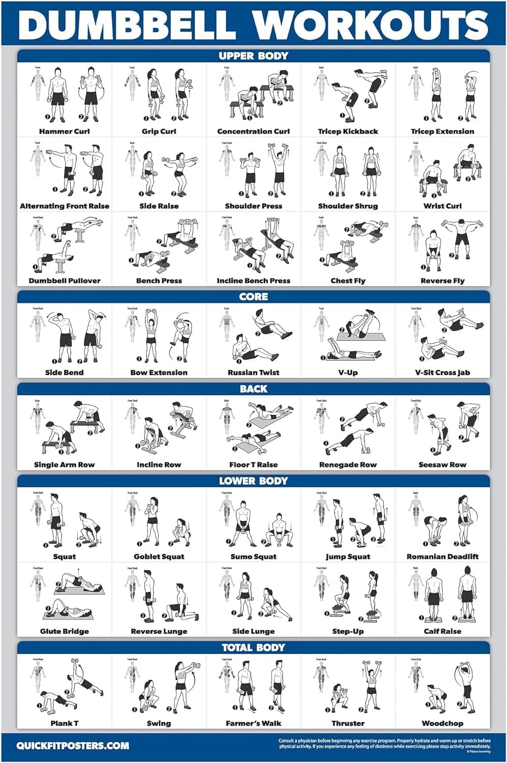 Palace Learning Dumbbell Workout Poster - Laminated Free Weight Bodybuilding Guide | 18" x 24" Home Gym Chart