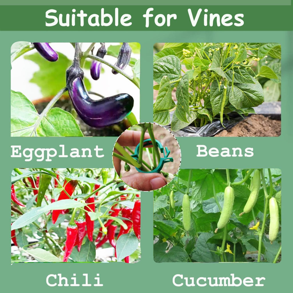 Plant Support Clips - 100pcs Tomato & Grape Vine Clips for Garden Trellis | Durable Green Plastic