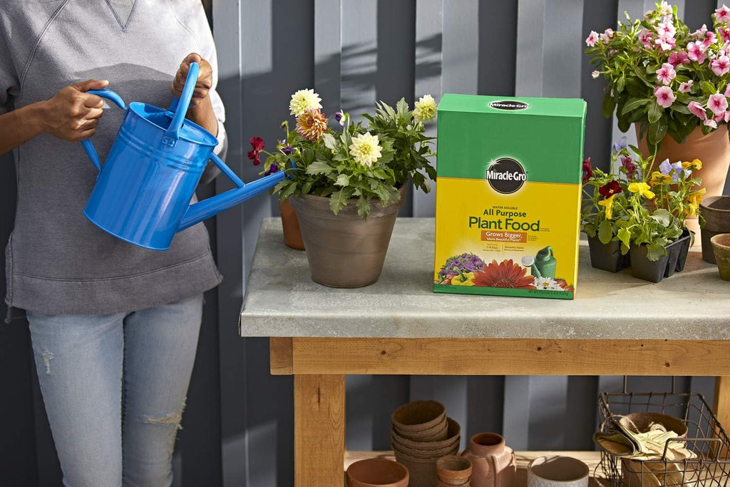 Miracle-Gro Water Soluble Plant Food - All-Purpose Fertilizer for Indoor & Outdoor Plants | 10 lbs (4-Pack)