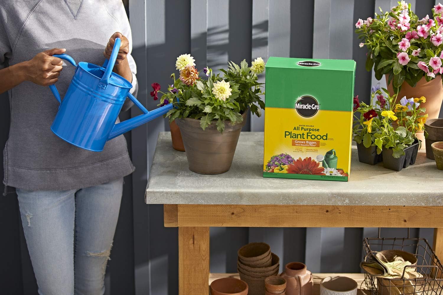 Miracle-Gro Water Soluble Plant Food - All-Purpose Fertilizer for Indoor & Outdoor Plants | 10 lbs (4-Pack)