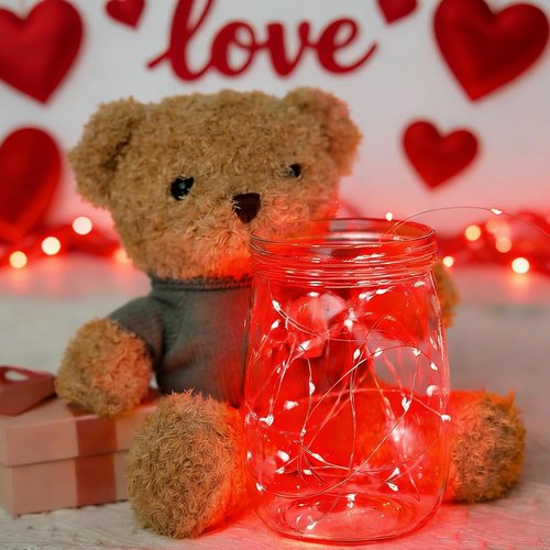 LAMPHOME 6 Pack Red Valentine's Fairy Lights - 7 ft Battery Operated LED Mini String Lights | Waterproof Silver Wire for DIY Decor