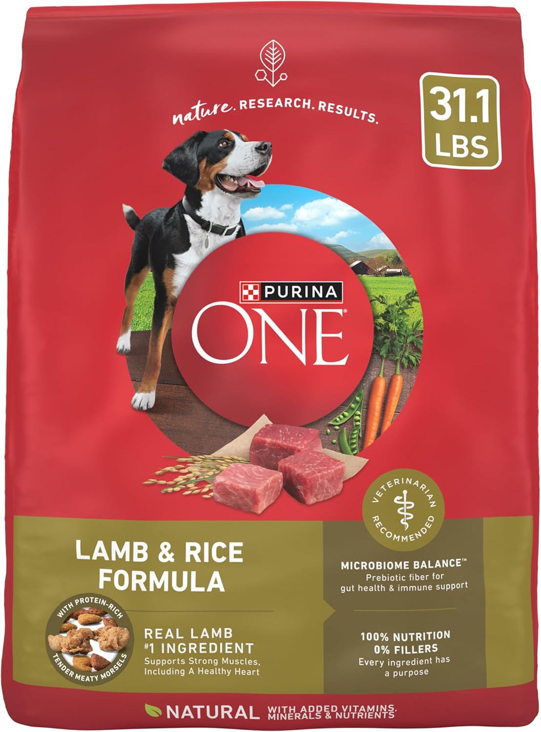 Purina ONE Dry Dog Food - Lamb & Rice Formula for Healthy Digestion | 31.1 lb. Bag
