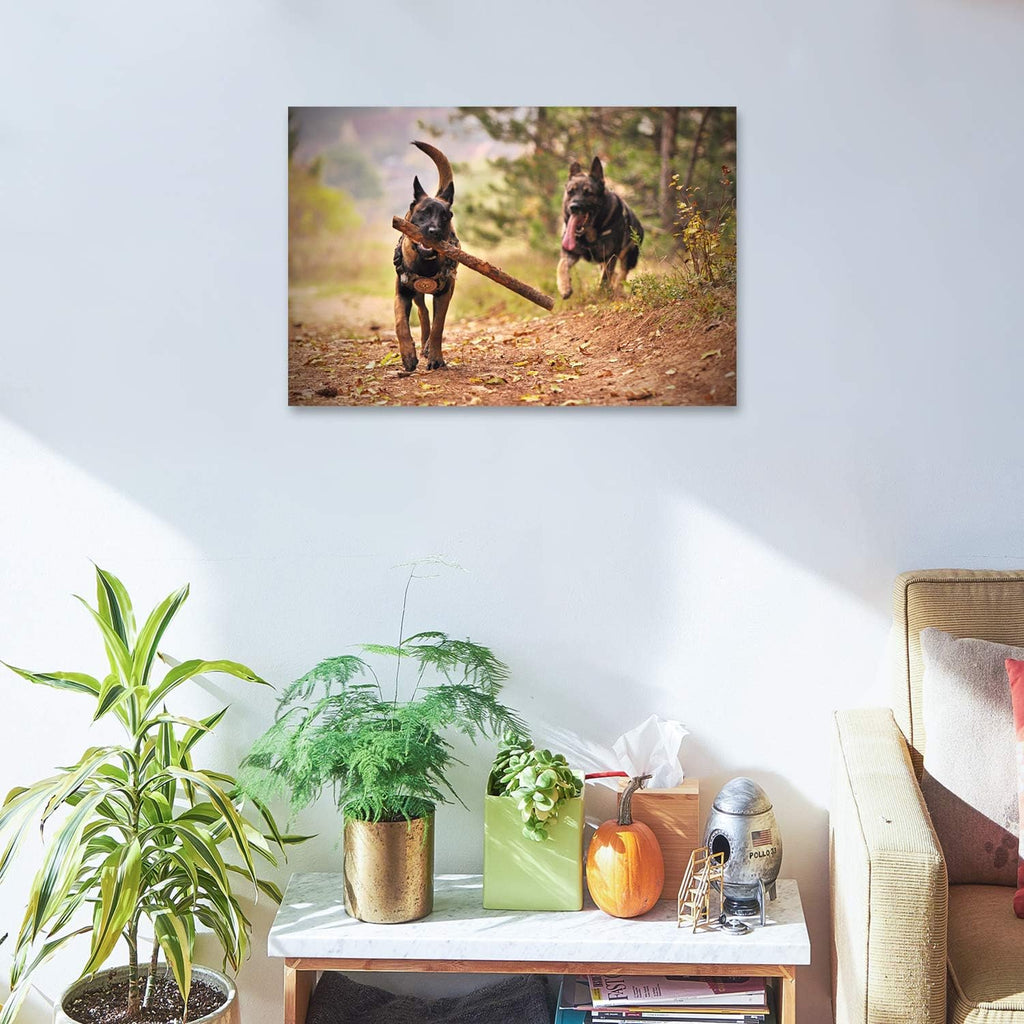Personalized Canvas Print by [Brand Name] - Custom Photo Wall Art for Bedroom & Living Room (12" W x 8" H)