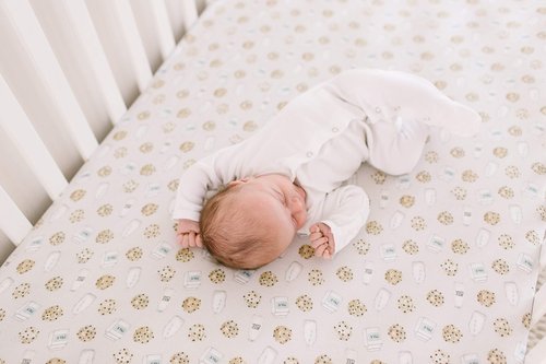 Copper Pearl Premium Knit Baby Crib Sheets for Boys and Girls Breathable and Soft, Fitted Crib Sheets for Standard Baby Mattresses, Chip