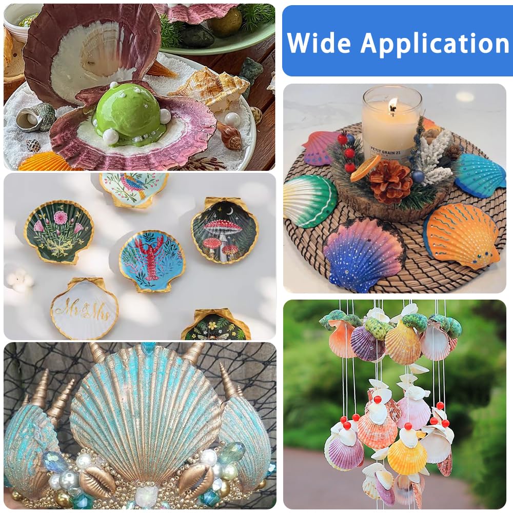 YUJUN 18PCS Large Natural Scallop Shells,2''-3'' 4''-5'' White Seashells Bulk for Crafts DIY Painting Baking and Ocean Summer Beach Wedding Home Decorations(2 Sizes Range)