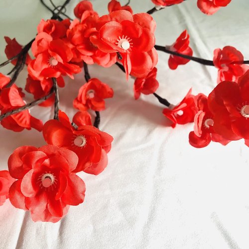 2 Pack Led Red Plum Bossom Branch Light Battery Operated Lighted Branch Artificial Lamei Floral Little Twig Light 30 Inch 20 LED for Home Vase Decoration (Red)