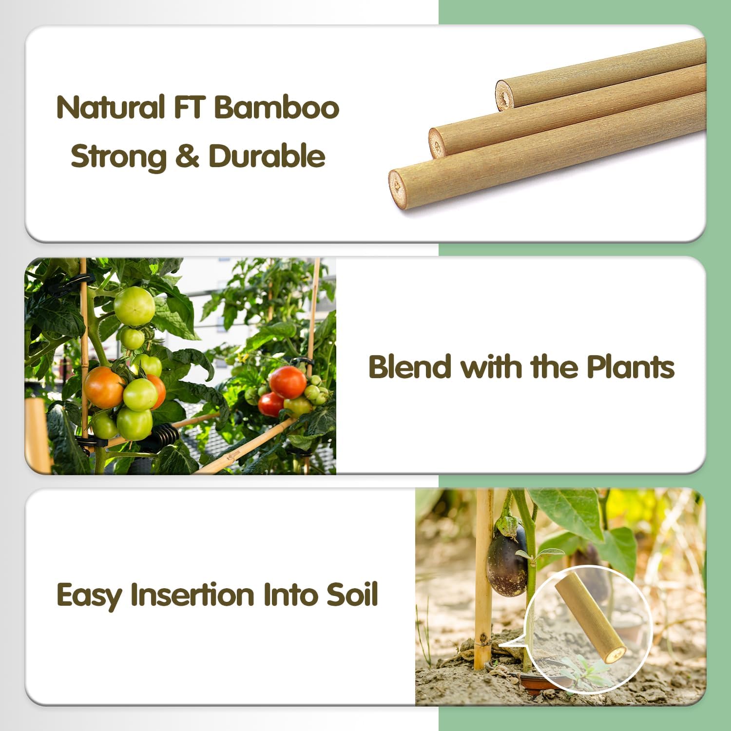 BOVITRO Bamboo Stakes - 3FT Natural Plant Supports for Tomatoes, Beans & Climbing Vegetables | 25 Pcs