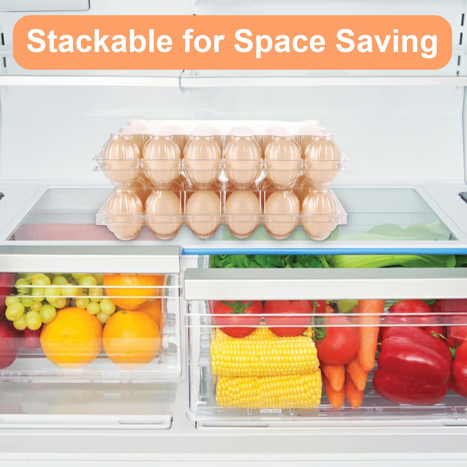 LOYORTY 50PCS Plastic Egg Cartons,18 Count Reusable Egg Carton Cheap Bulk, 3x6 Grids Clear Empty Eggs Cartons for Family, Farm, Markets