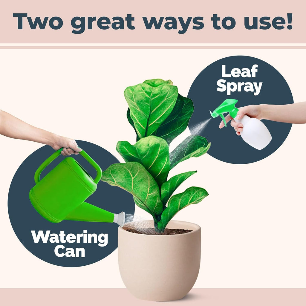 Skiennix Fiddle Leaf Fig Plant Food - Liquid Formula for Bigger Leaves & Stronger Roots | 8 oz