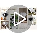 36Pcs Black Faux Pampas Grass - 21.6 Inch Decorative Stems for Home Decor