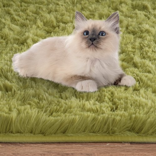 ISEAU Oval Fluffy Rug Carpets, Modern Plush Shaggy Area Rugs for Kids Bedroom Extra Comfy Cute Nursery Mat Bedside Rug for Boys Girls Room Home Decor Mats, 2.6 x 5.3ft, Green