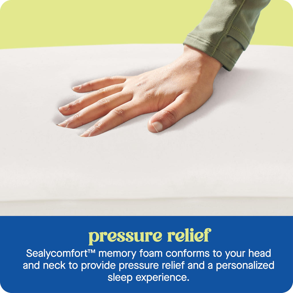 Sealy Dreamlife Queen Size Memory Foam Cooling Pillow with Surface Guard Technology, Removable Machine-Washable Cover, 1 Year Limited Warranty, White (2 Pack)