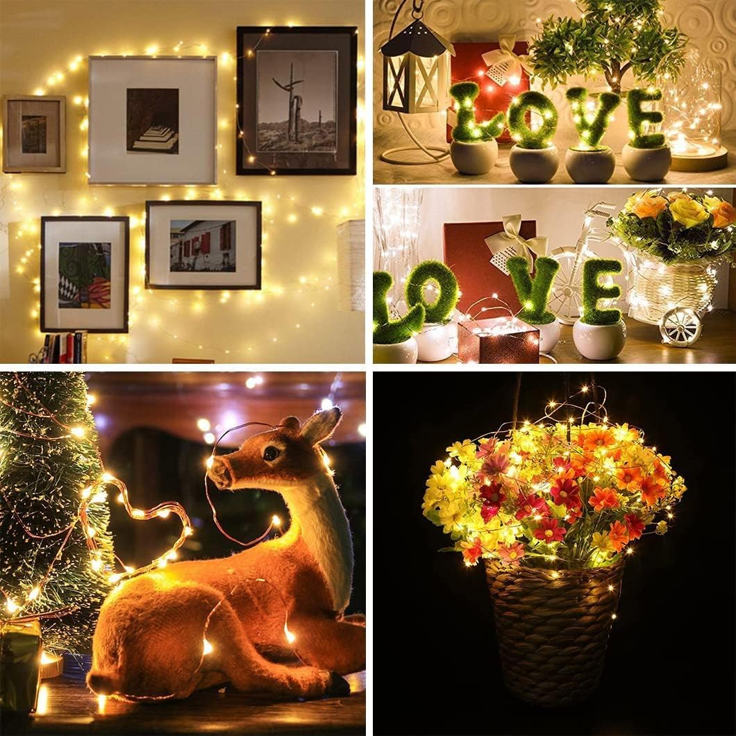 Skiennix 24 Pack Fairy Lights - Battery Operated 7FT Waterproof Silver Wire String Lights | Indoor/Outdoor Decor