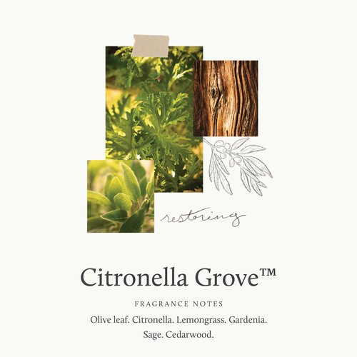 Thymes Citronella Grove - Outdoor Citronella Candles for Patio with Scent Notes of Olive Leaf & Lemongrass - Backyard Essentials - Decorative Citronella Candles Outdoor Decor (Medium, 10 oz)