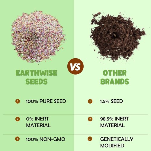 Earthwise Wildflower Seed Mix | Organic, Pollinator-Friendly, Low Maintenance - Covers 500 Sq Ft, 1/4 lb