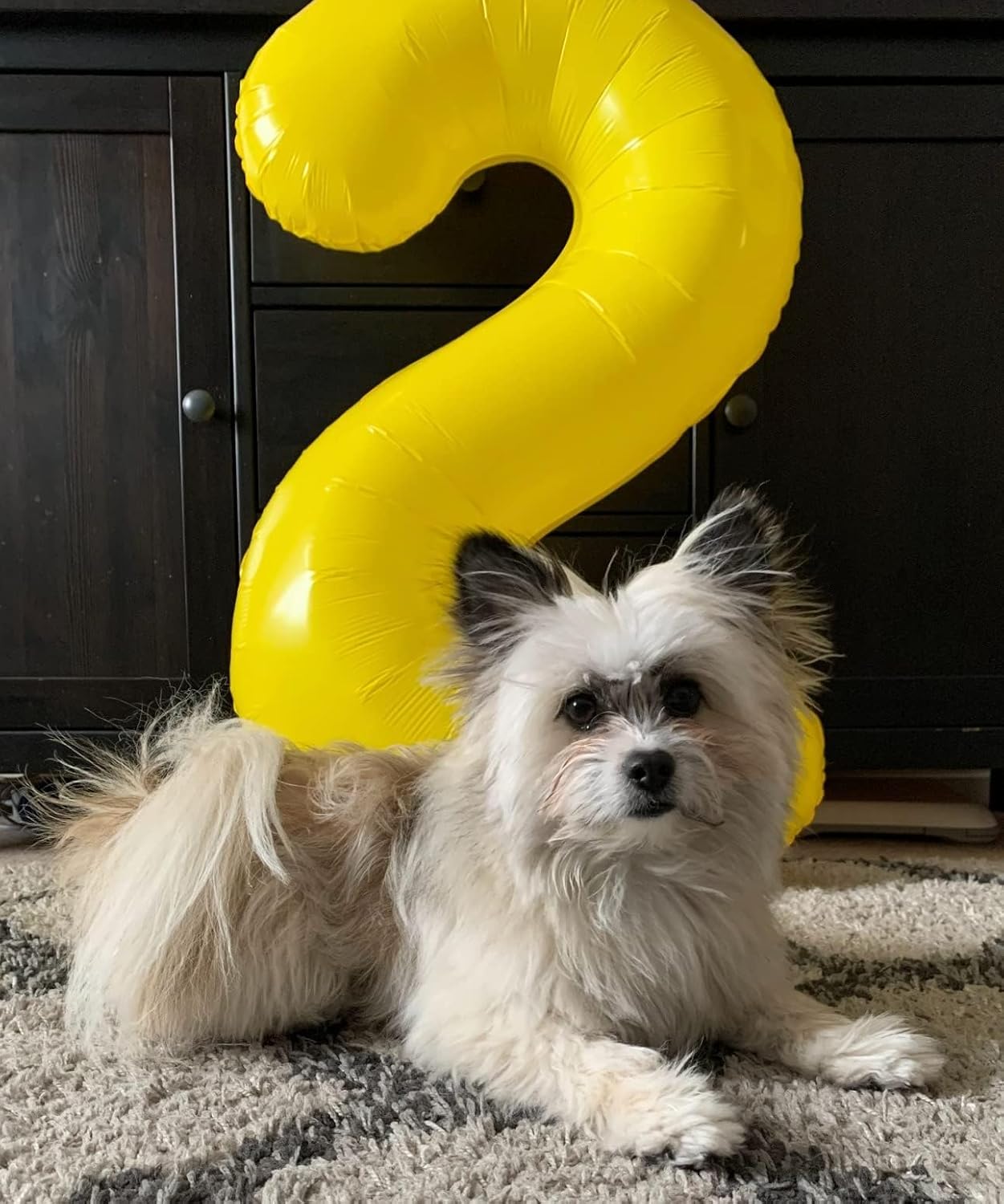 Skiennix 40-Inch Yellow Number Balloons - Perfect for 2nd, 12th, 21st Birthday Celebrations & Events